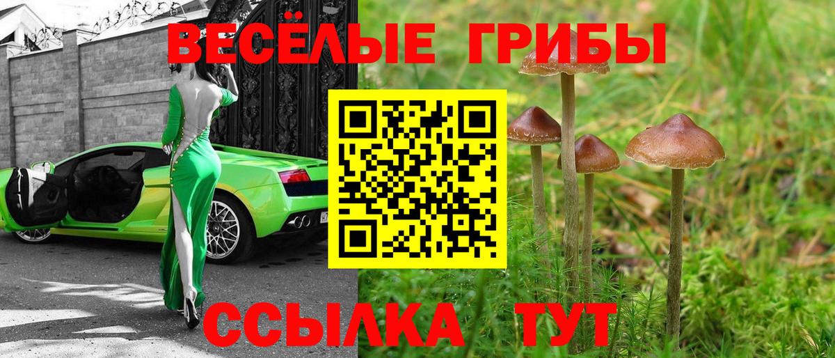 Мурманск  Галлюциногенные грибы Psilocybe  Вход с VPN 