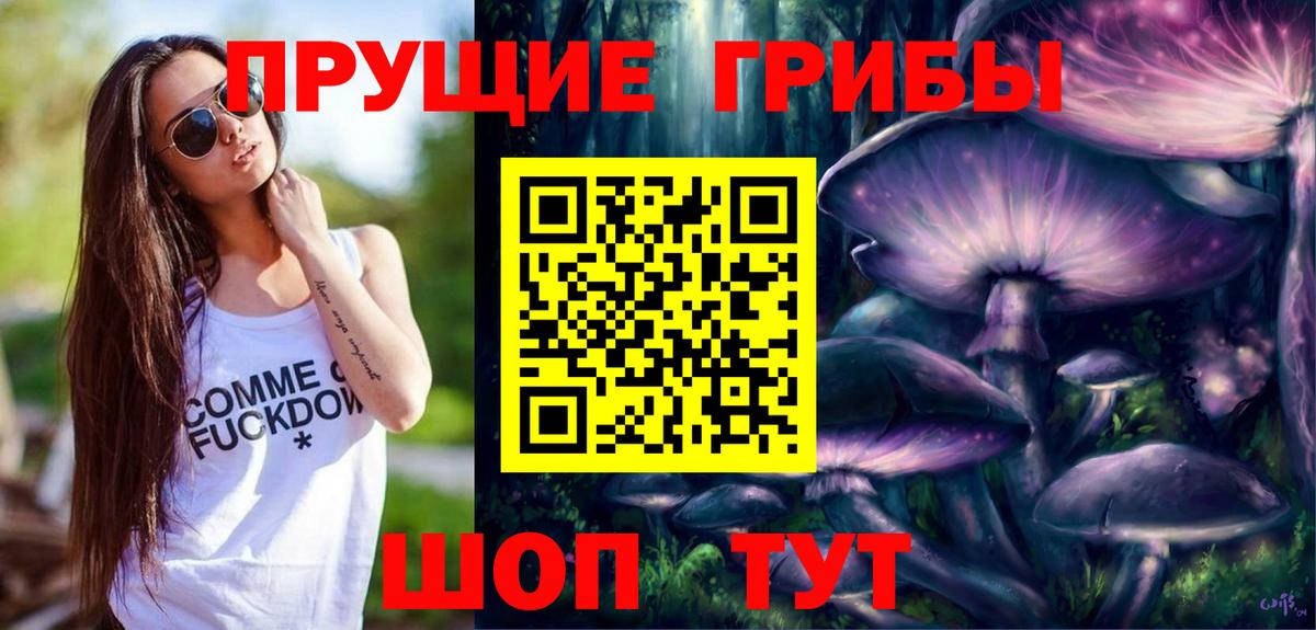 Псилоцибиновые грибы Psilocybe Мурманск